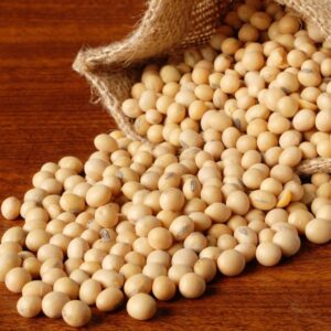 Soya bean